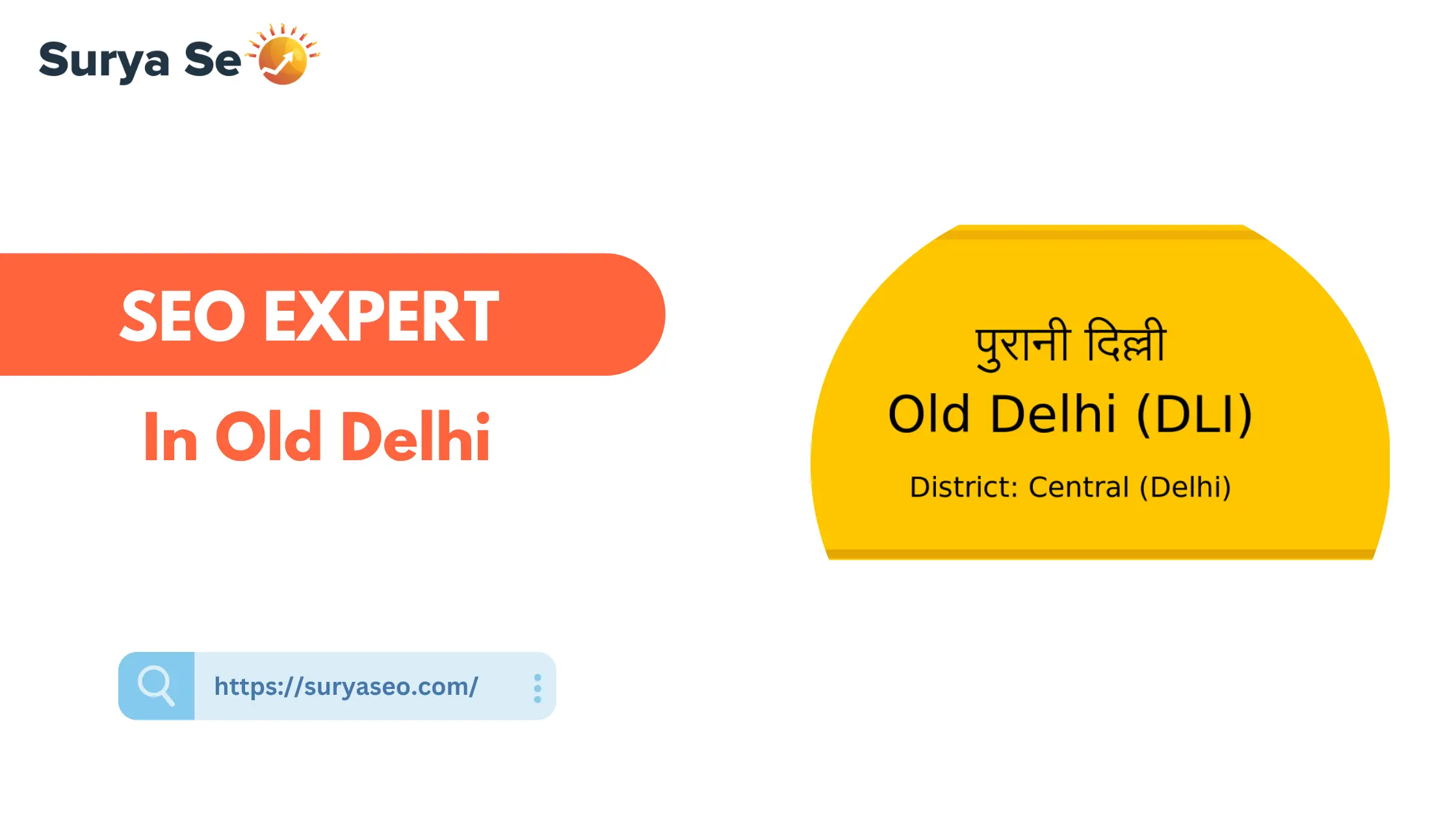 SEO Expert in Old Delhi