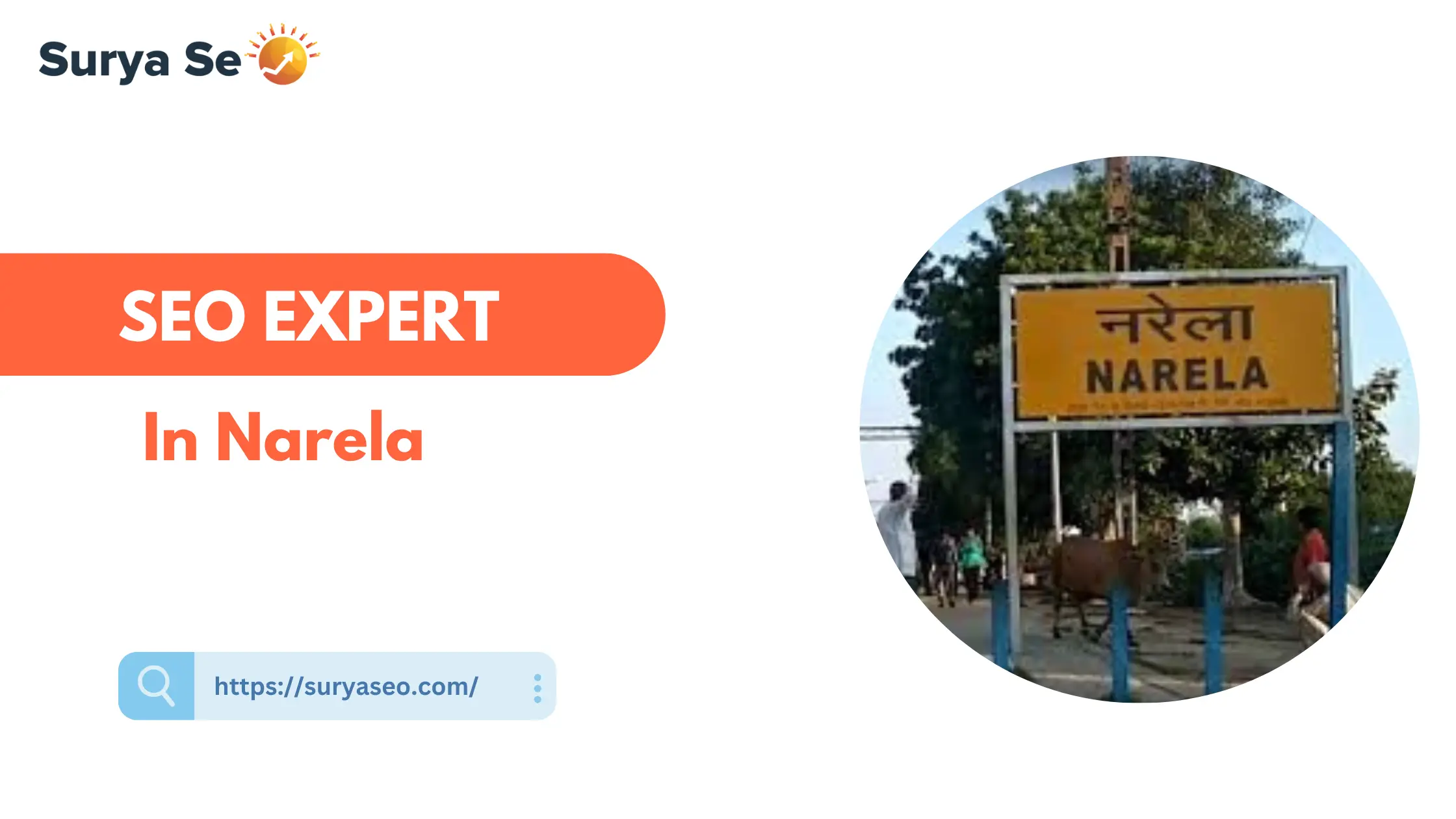 SEO Expert in Narela