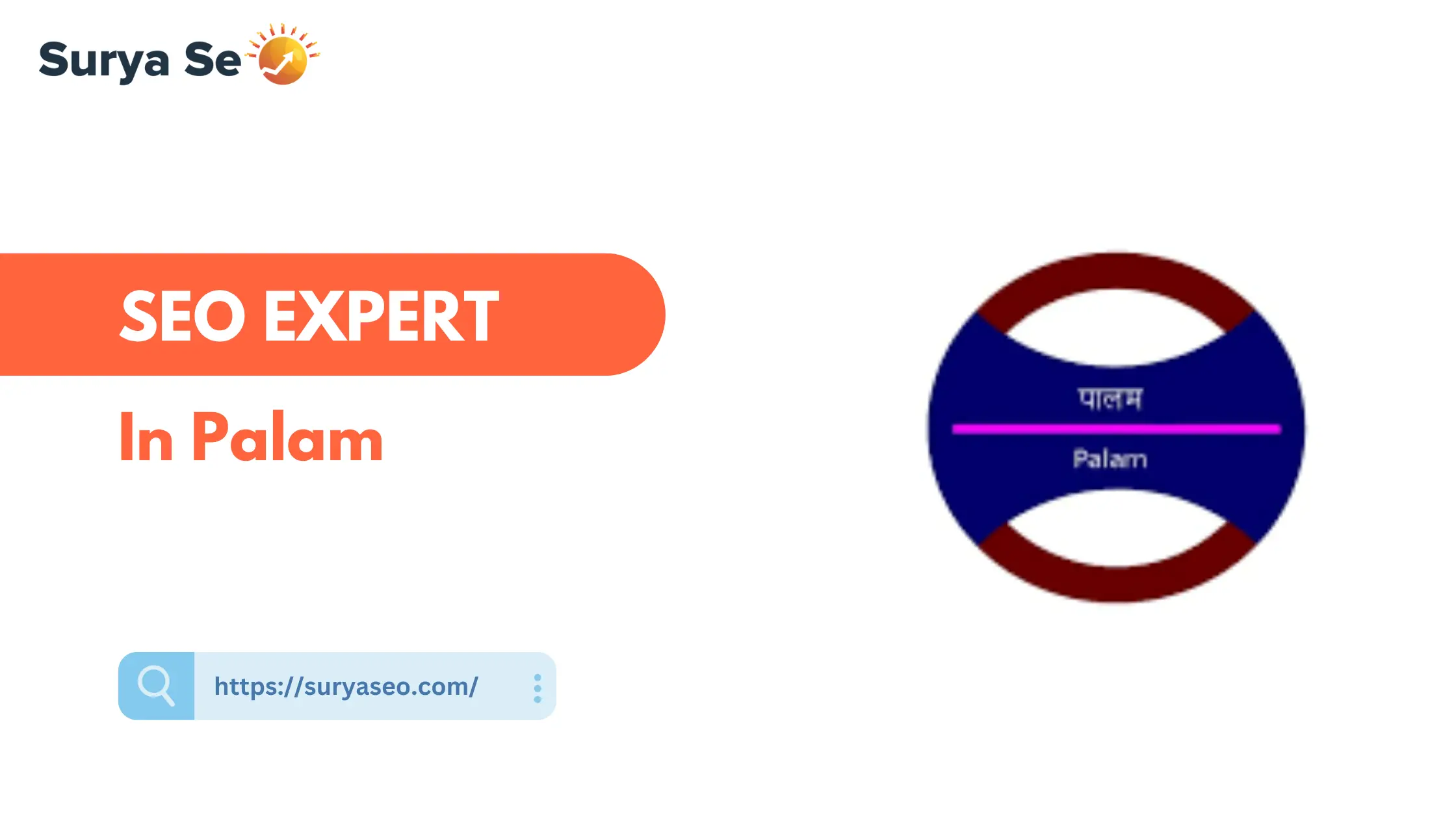 SEO Expert in Palam